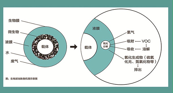 生物除臭工作原理